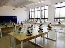 https://www.zzto.com.cn/school-2/document-id-61.html